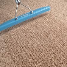 Carpet grooming